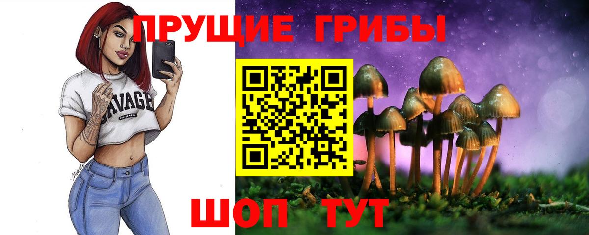 Галлюциногенные грибы Magic Shrooms Сертолово